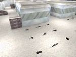 GameCS Server